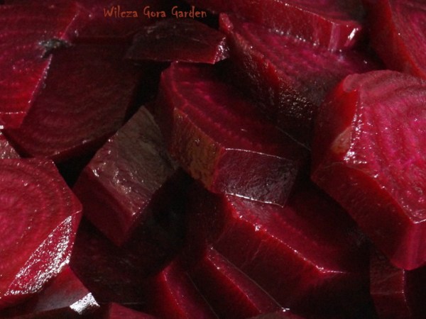 „WILCZOGÓRSKA” ZUPA-KREM Z&nbsp;BURAKÓW