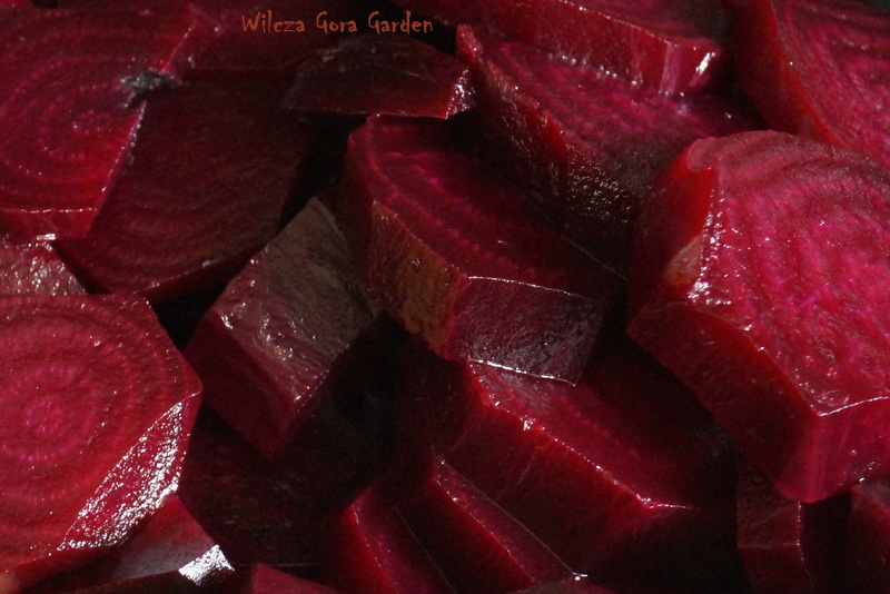 „WILCZOGÓRSKA” ZUPA-KREM Z BURAKÓW