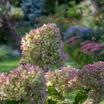 PUDROWE, RÓŻOWE, BURGUNDOWE … MOJE PAŹDZIERNIKOWE LOVE&nbsp;…