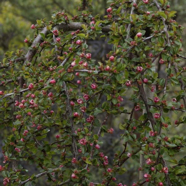 W KOŃCU ODKRYŁAM PIĘKNO&nbsp;IRGI…