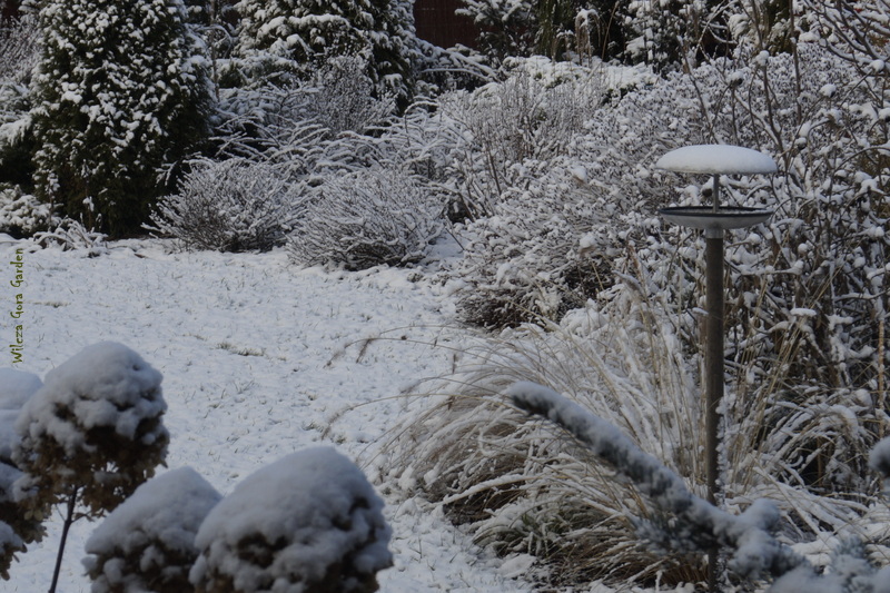 ŚNIEŻNA ZIMA JEST ZAWSZE&nbsp;PIĘKNA