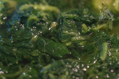 WILCZOGÓRSKI KREM Z BROKUŁÓW I&nbsp;SZPINAKU