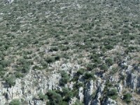 ANTYCZNA GRECJA, PELOPONEZ – MYKENY, GROB&nbsp;AGAMEMNONA