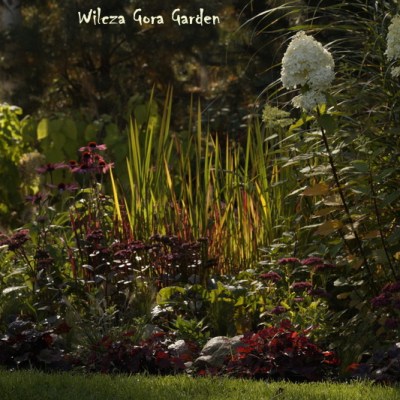 JUŻ JESIEŃ W NASZYM&nbsp;OGRODZIE