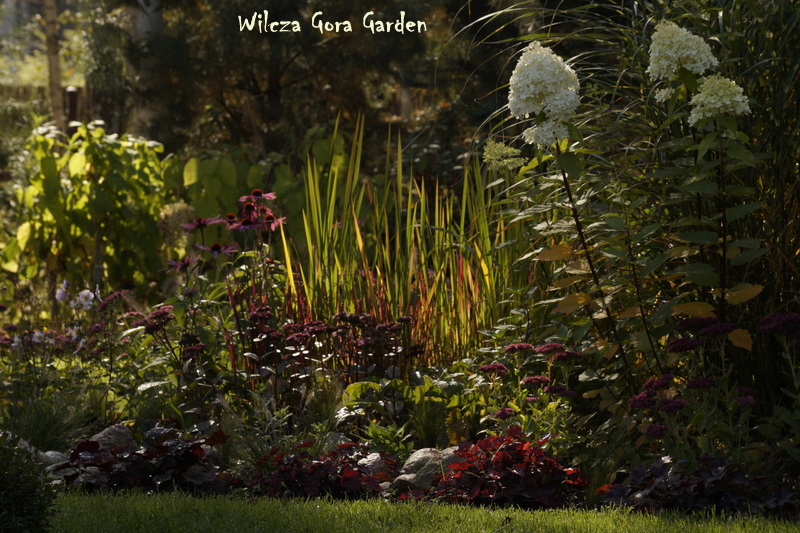 JUŻ JESIEŃ W NASZYM&nbsp;OGRODZIE