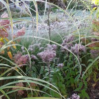 BUK JEGOMOŚĆ… WE WŁASNEJ&nbsp;OSOBIE…