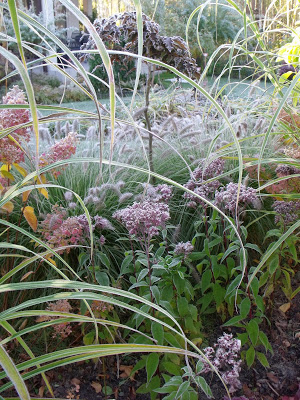 BUK JEGOMOŚĆ… WE WŁASNEJ&nbsp;OSOBIE…
