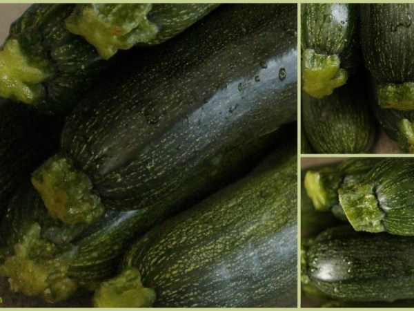 „WILCZOGÓRSKA” ZUPA-KREM Z&nbsp;CUKINII