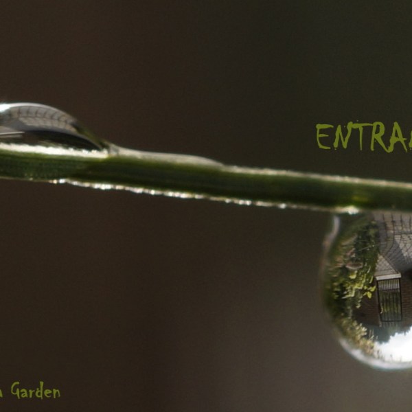 CIEPŁY POCZĄTEK WRZEŚNIA