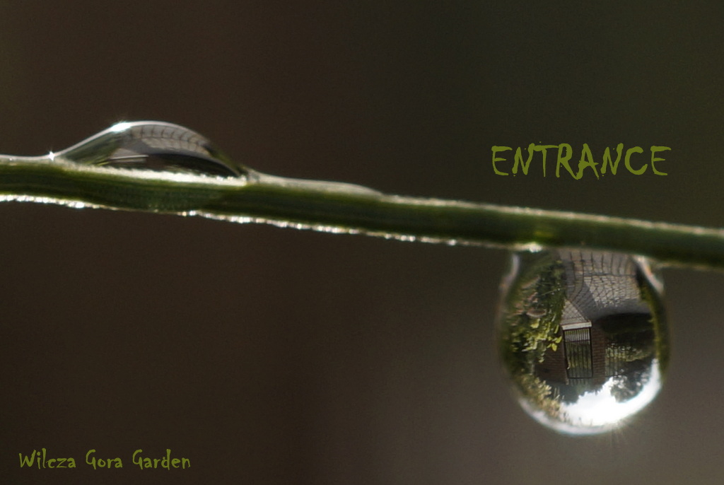 CIEPŁY POCZĄTEK WRZEŚNIA