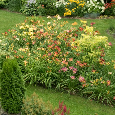 KOLOROWY ZAWROT GLOWY