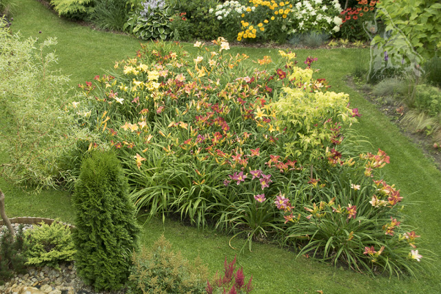 KOLOROWY ZAWROT GLOWY