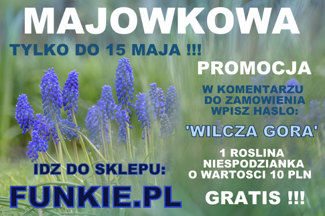 MAJOWKOWA PROMOCJA – 3MAJcie sie&nbsp;!!!