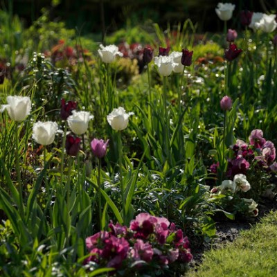 W 3 KOLORACH&nbsp;WINA