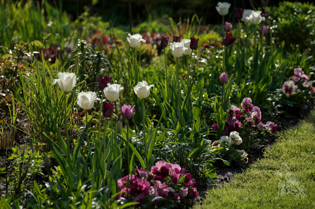 W 3 KOLORACH&nbsp;WINA