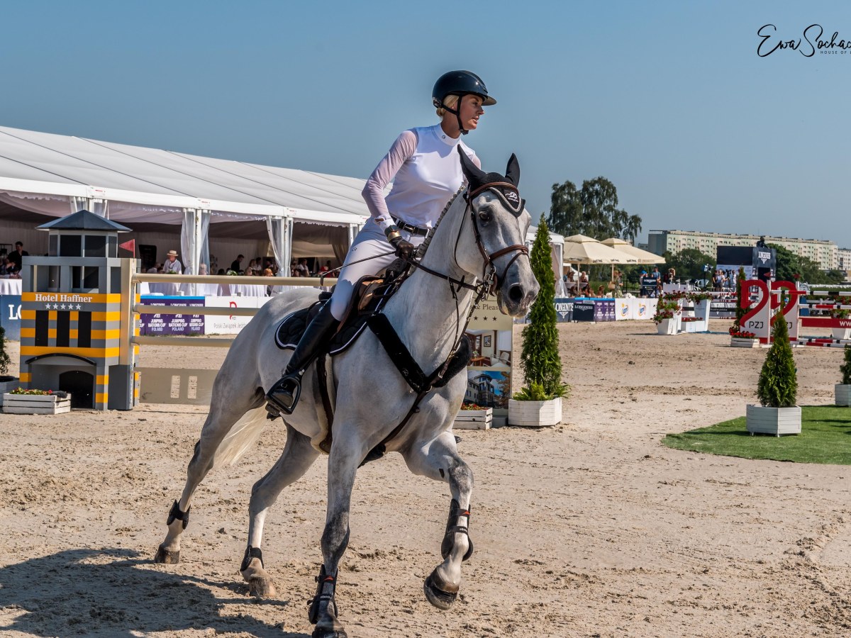 „Kto bywa na koniu, bywa i pod&nbsp;koniem.”