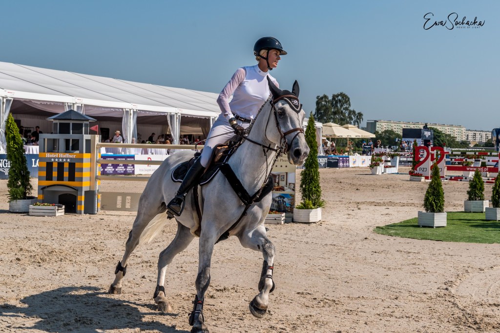 „Kto bywa na koniu, bywa i pod&nbsp;koniem.”